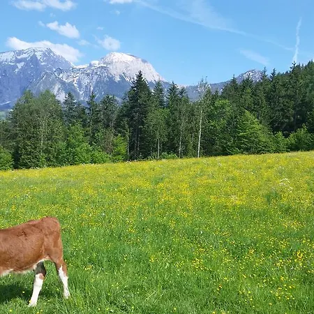 Hochoedlehen ゲストハウス Schönau am Königssee