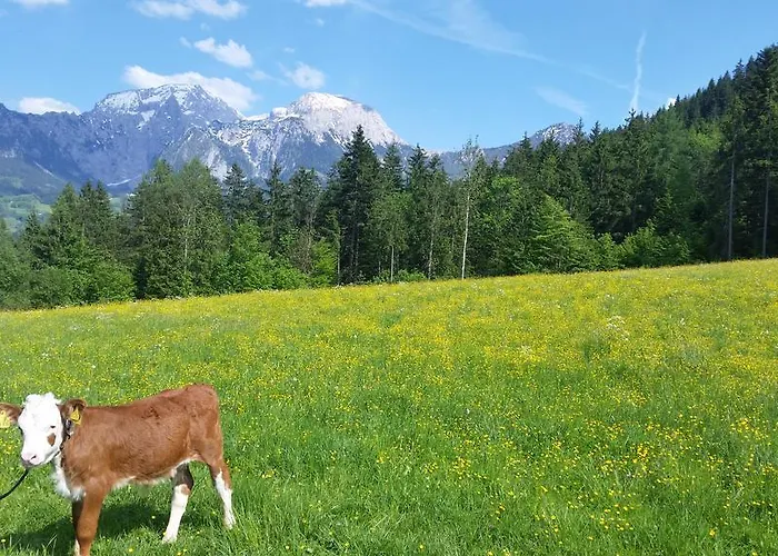 Hochoedlehen 招待所 Schönau am Königssee