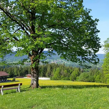 Hochoedlehen